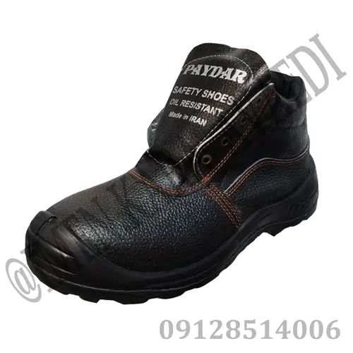 پوتین ایمنی پایدار